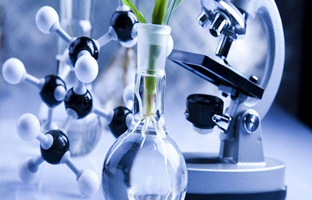 BSc Botany & Biotechnology